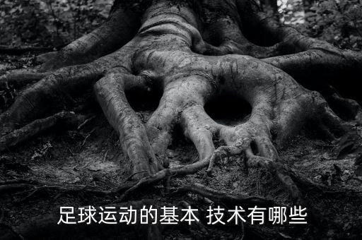  足球運動的基本 技術(shù)有哪些
