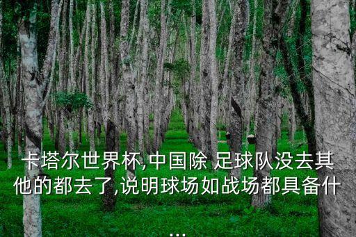 卡塔爾世界杯,中國(guó)除 足球隊(duì)沒(méi)去其他的都去了,說(shuō)明球場(chǎng)如戰(zhàn)場(chǎng)都具備什...