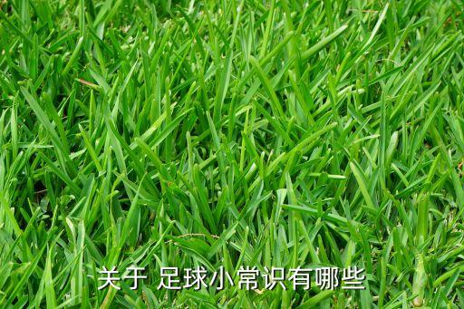 關(guān)于 足球小常識(shí)有哪些