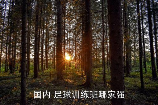 北京的足球運(yùn)動(dòng)班,北京足球運(yùn)動(dòng)協(xié)會(huì)
