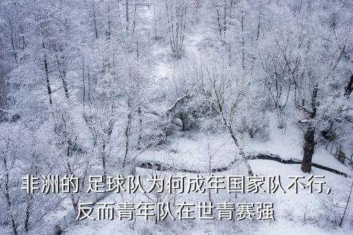 非洲的 足球隊為何成年國家隊不行,反而青年隊在世青賽強