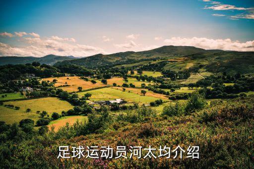  足球運動員河太均介紹