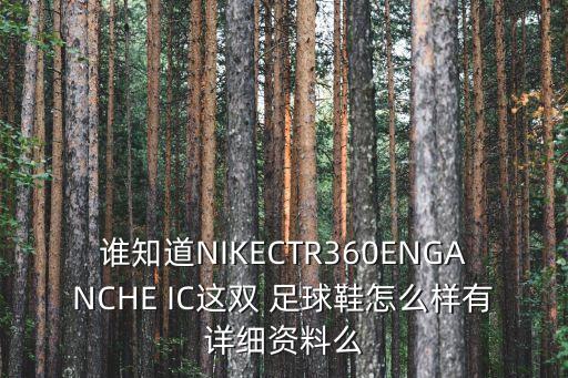 足球IC鞋,足球ic是什么意思