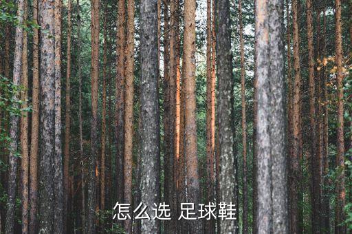 怎么選 足球鞋