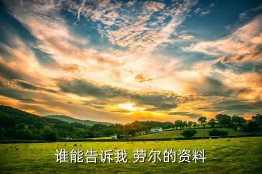 美國(guó)足球勞爾,西班牙足球運(yùn)動(dòng)員勞爾