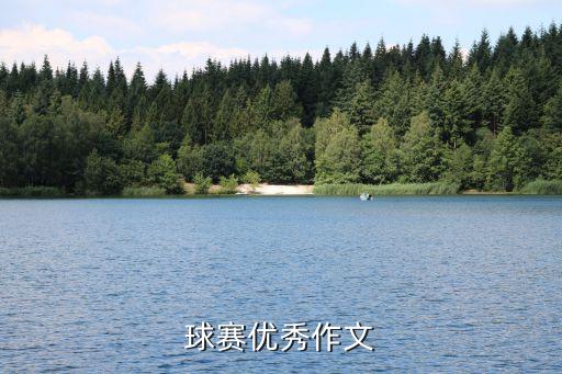 球賽優(yōu)秀作文