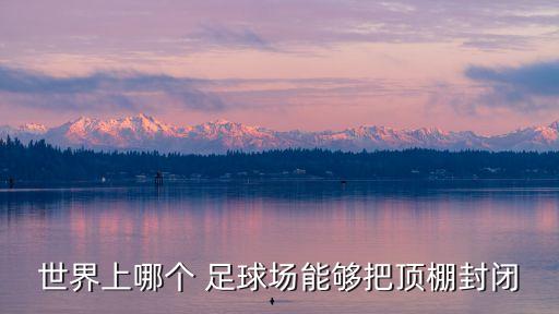 世界上哪個 足球場能夠把頂棚封閉
