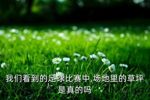 我們看到的足球比賽中,場地里的草坪是真的嗎