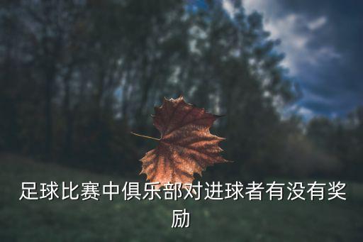  足球比賽中俱樂(lè)部對(duì)進(jìn)球者有沒(méi)有獎(jiǎng)勵(lì)