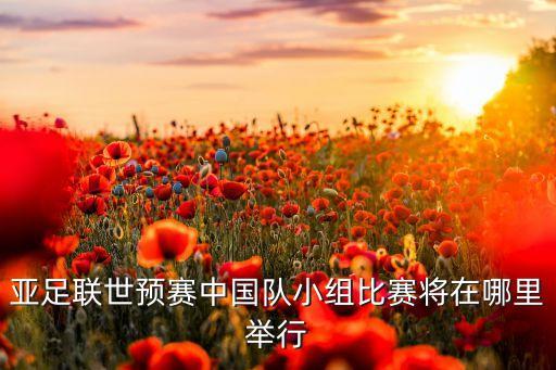 中國(guó)亞足球隊(duì),亞奧林足球隊(duì)介紹