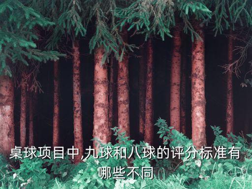 桌球項(xiàng)目中,九球和八球的評(píng)分標(biāo)準(zhǔn)有哪些不同