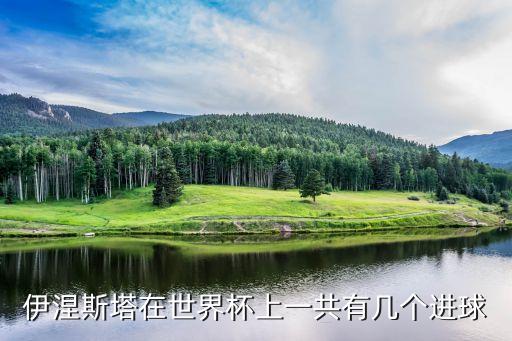 伊涅斯塔在世界杯上一共有幾個(gè)進(jìn)球