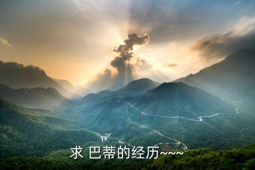 求 巴蒂的經(jīng)歷~~~