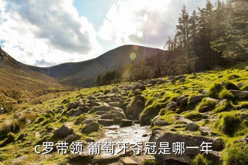 c羅帶領(lǐng) 葡萄牙奪冠是哪一年