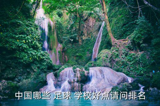 中國哪些 足球 學(xué)校好點(diǎn)請問排名