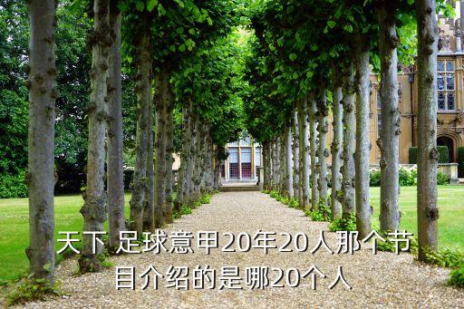  天下 足球意甲20年20人那個節(jié)目介紹的是哪20個人