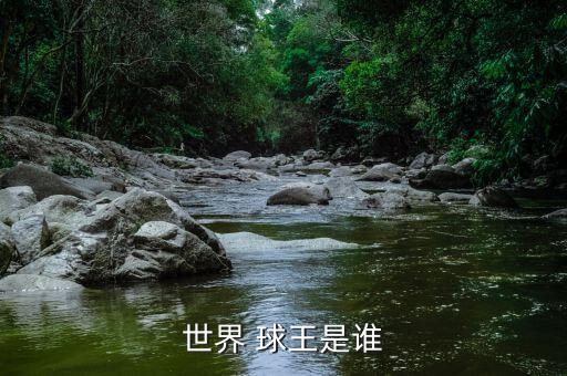 足球 世紀(jì)球王,足球球王的標(biāo)準(zhǔn)是什么