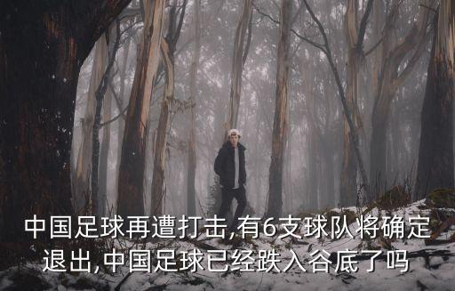 中國足球再遭打擊,有6支球隊將確定退出,中國足球已經(jīng)跌入谷底了嗎