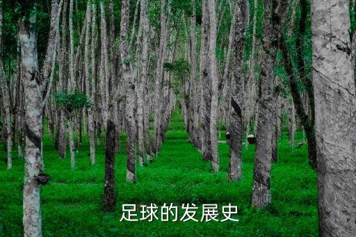  足球的發(fā)展史