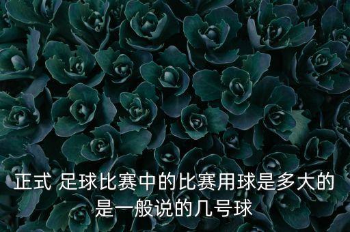 正式 足球比賽中的比賽用球是多大的是一般說的幾號(hào)球