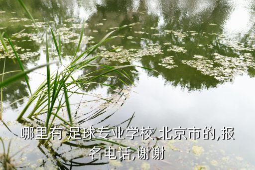 哪里有 足球?qū)I(yè)學(xué)校 北京市的,報(bào)名電話,謝謝