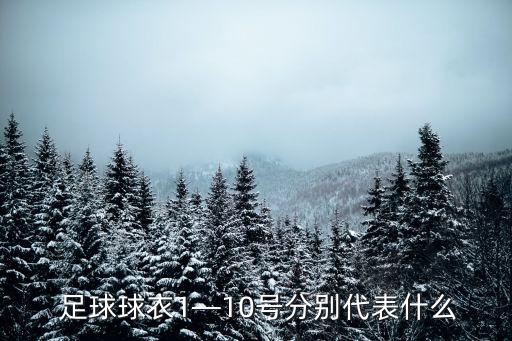 曼聯(lián)足球衣尺碼,足球衣身高和尺碼對(duì)照表