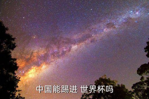 中國足球進不了世界杯 廣告
