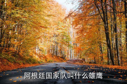 帕拉瑪塔鷹足球隊