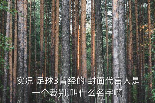  實況 足球3曾經(jīng)的 封面代言人是一個裁判,叫什么名字啊
