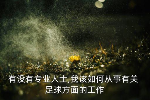 有沒(méi)有專(zhuān)業(yè)人士,我該如何從事有關(guān) 足球方面的工作