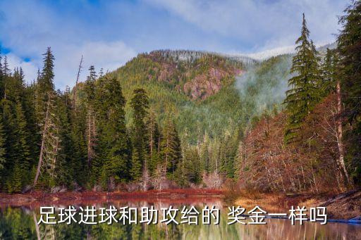  足球進(jìn)球和助攻給的 獎(jiǎng)金一樣嗎