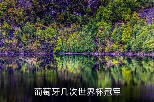  葡萄牙幾次世界杯冠軍