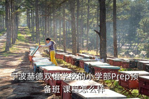 寧波赫德雙語學(xué)校的小學(xué)部Prep預(yù)備班 課程怎么樣