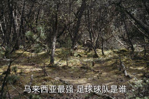  馬來西亞最強 足球球隊是誰