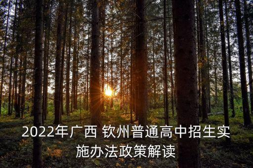 欽州一中足球隊(duì),欽州子材一中
