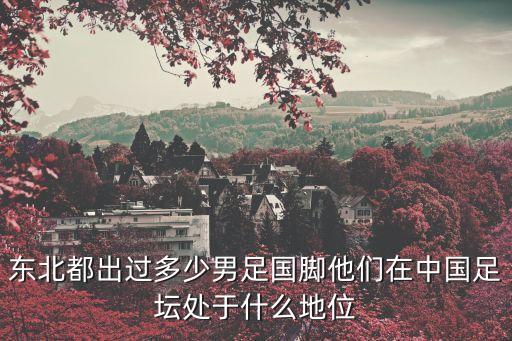 黃勇 足球,黃勇足球哪個(gè)隊(duì)的教練