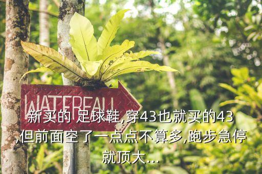 新買(mǎi)的 足球鞋,穿43也就買(mǎi)的43,但前面空了一點(diǎn)點(diǎn)不算多,跑步急停就頂大...