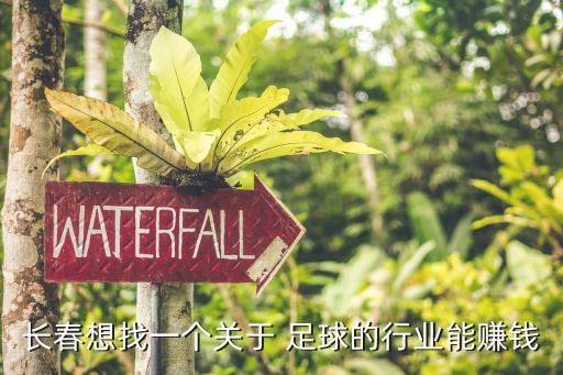 長(zhǎng)春想找一個(gè)關(guān)于 足球的行業(yè)能賺錢