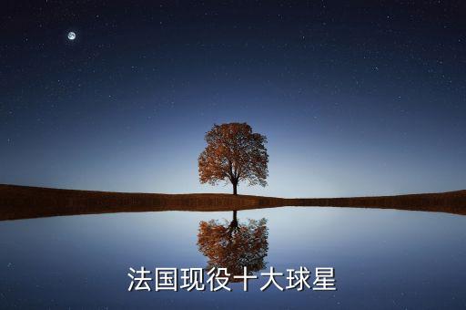 法國(guó)現(xiàn)役十大球星