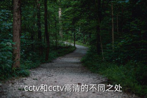 足球之夜紀(jì)錄片