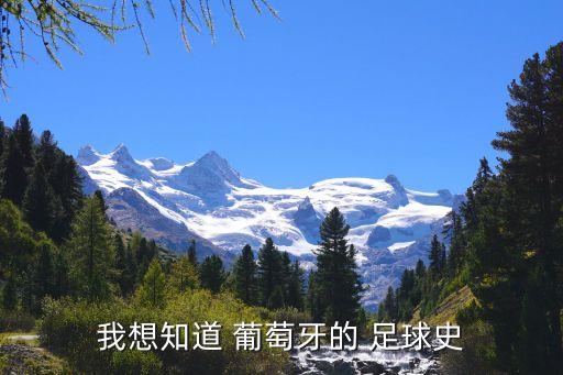 我想知道 葡萄牙的 足球史