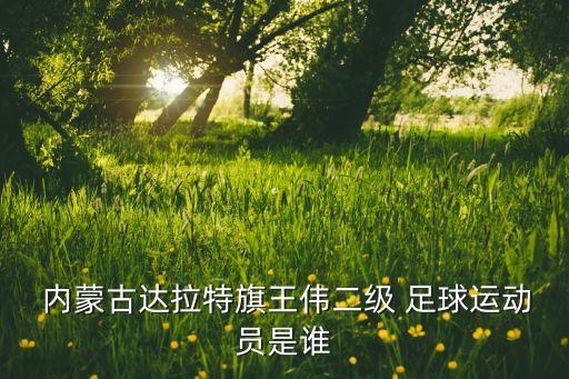  內(nèi)蒙古達拉特旗王偉二級 足球運動員是誰