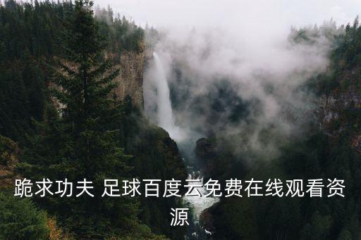 跪求功夫 足球百度云免費在線觀看資源