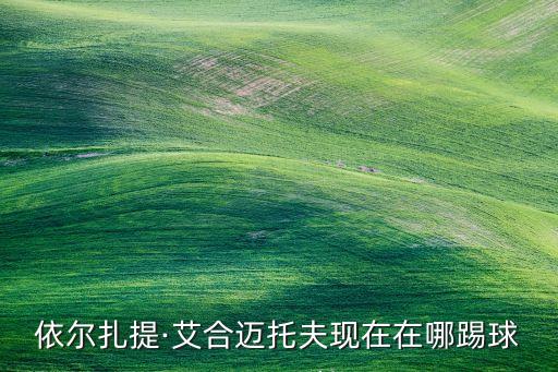 俄羅斯足球出場(chǎng)人員