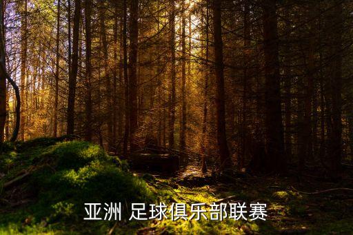 亞洲 足球俱樂部聯(lián)賽