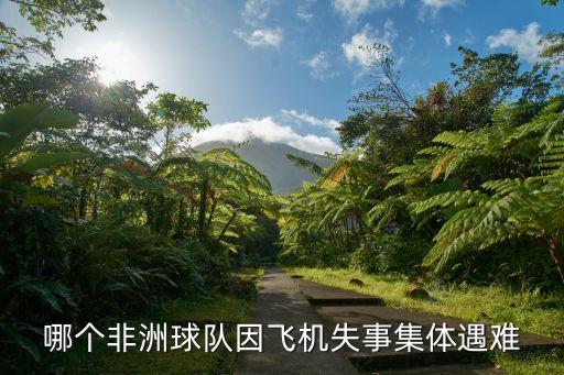 哪個(gè)非洲球隊(duì)因飛機(jī)失事集體遇難