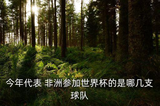 今年代表 非洲參加世界杯的是哪幾支球隊