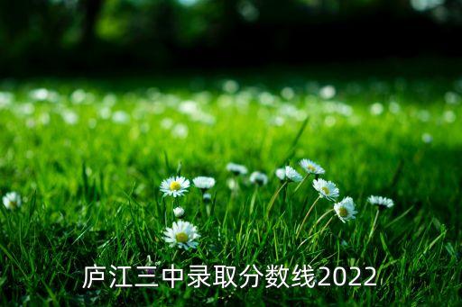 廬江三中錄取分?jǐn)?shù)線2022
