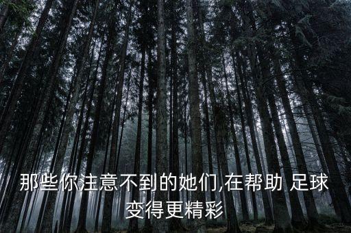 足球小說赫塔菲,d.diaz足球赫塔菲