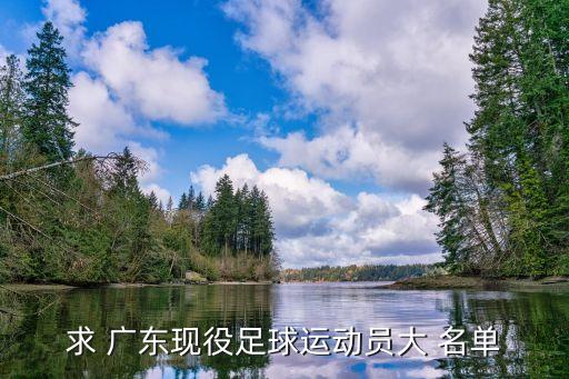 求 廣東現(xiàn)役足球運(yùn)動(dòng)員大 名單
